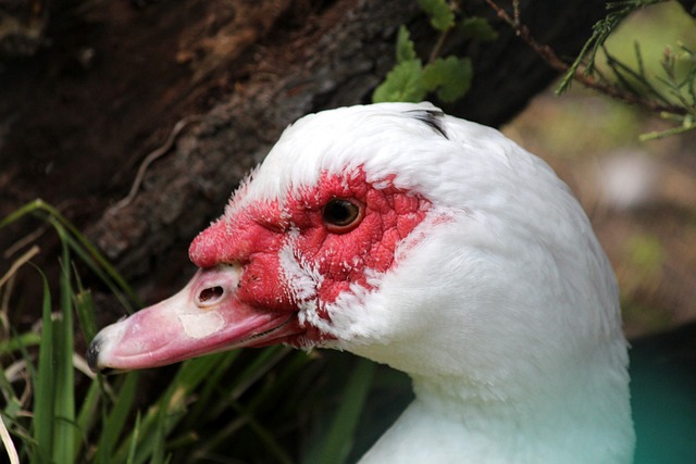 支持密不可 支持密不可