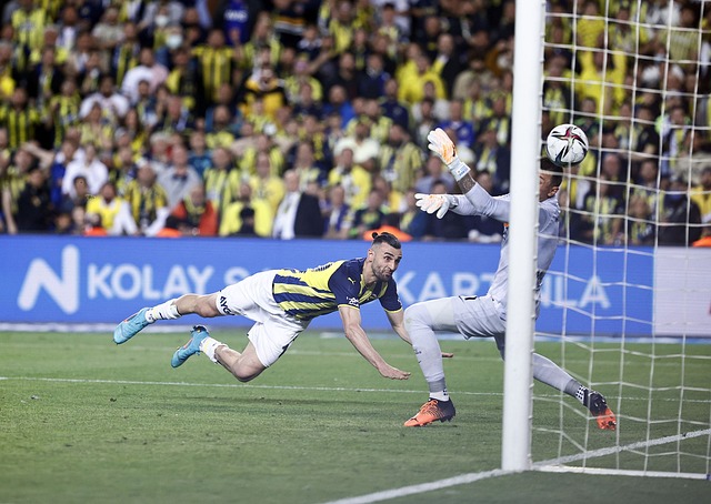 不仅能够获 不仅能够获