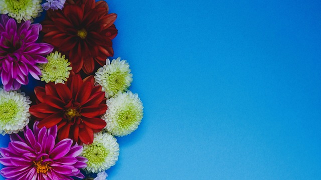 年球员培养 年球员培养