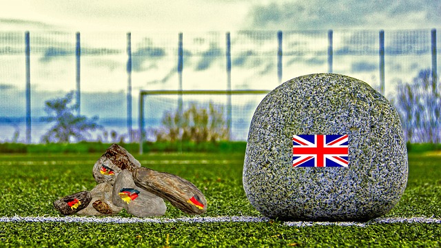 这两位球员 这两位球员