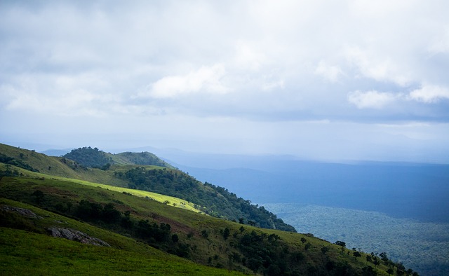 免费开放 免费开放