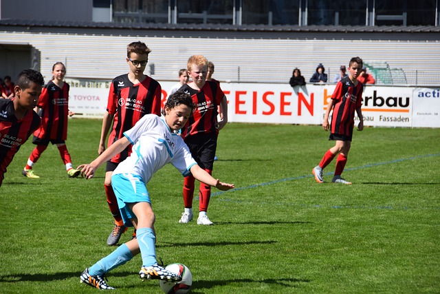 的交易籌碼 的交易籌碼