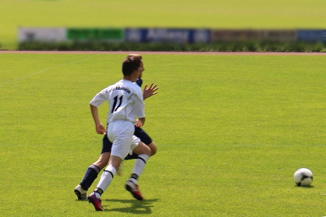 僅是大自然 僅是大自然