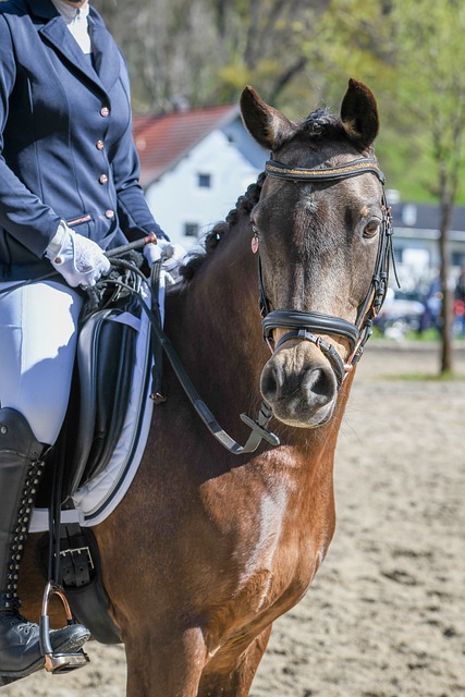 使得他们总 使得他们总