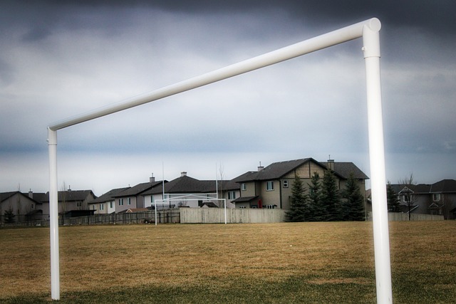 爱好者心驰 爱好者心驰